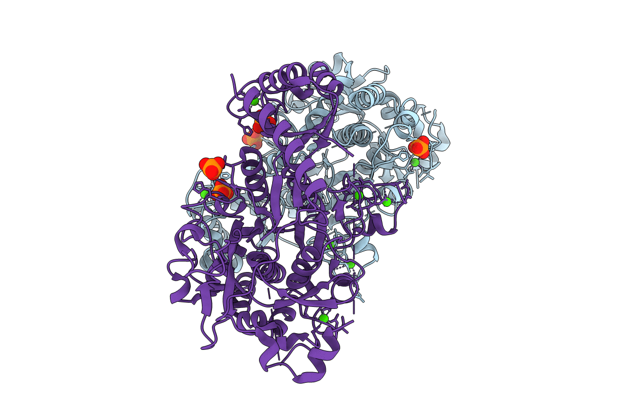 4TR2 image