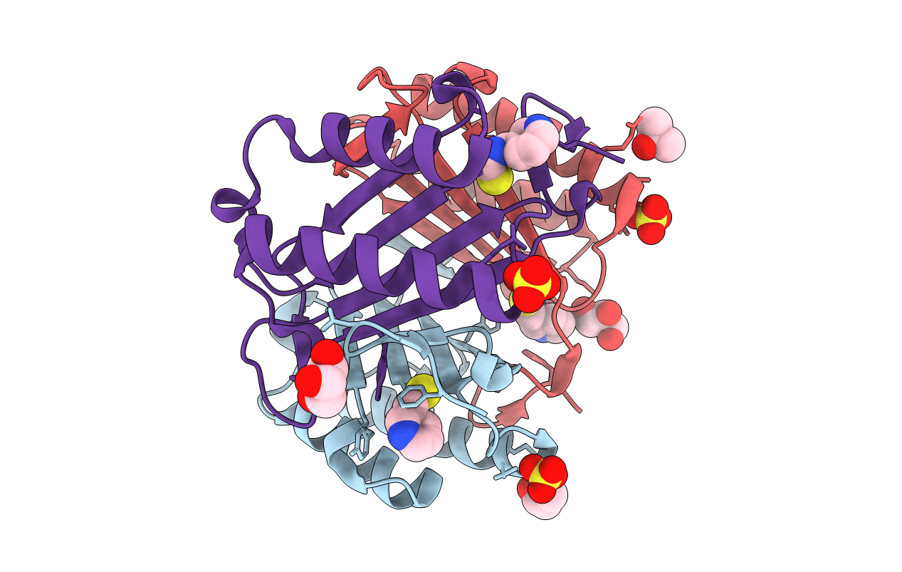4TRF image