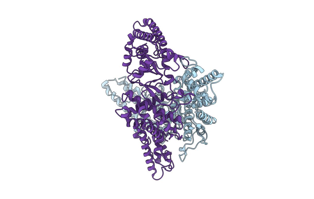 4TRG image