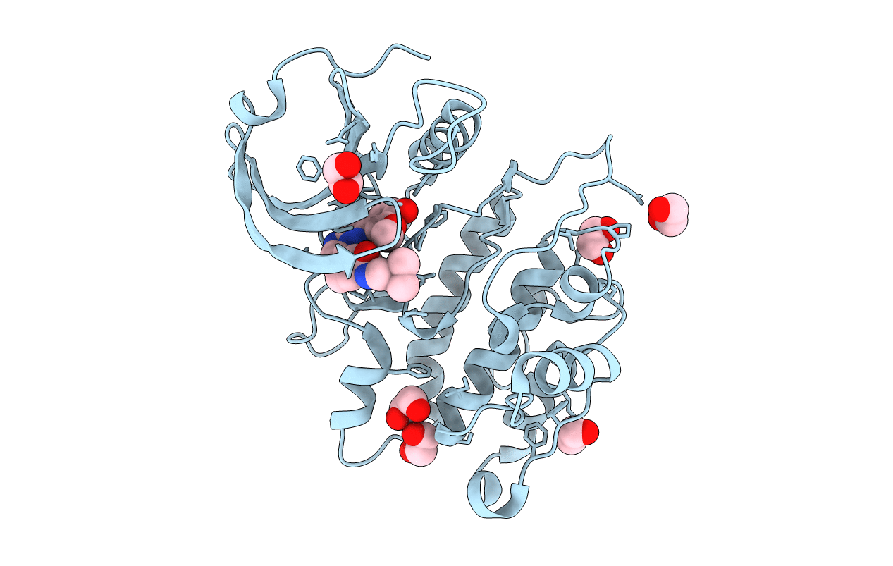4TXC image