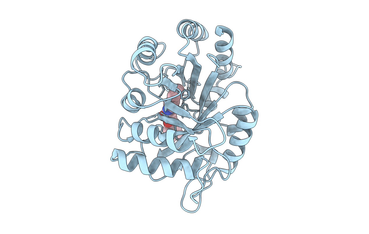 4TXE image