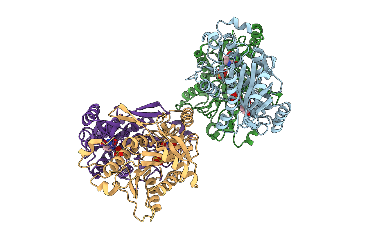 4TXL image