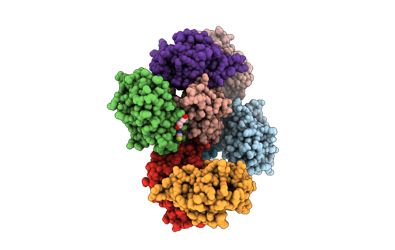 4TXO image
