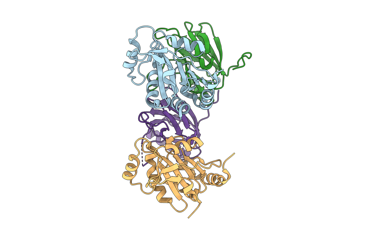 4TXV image