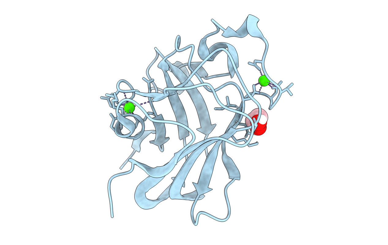 4TXW image