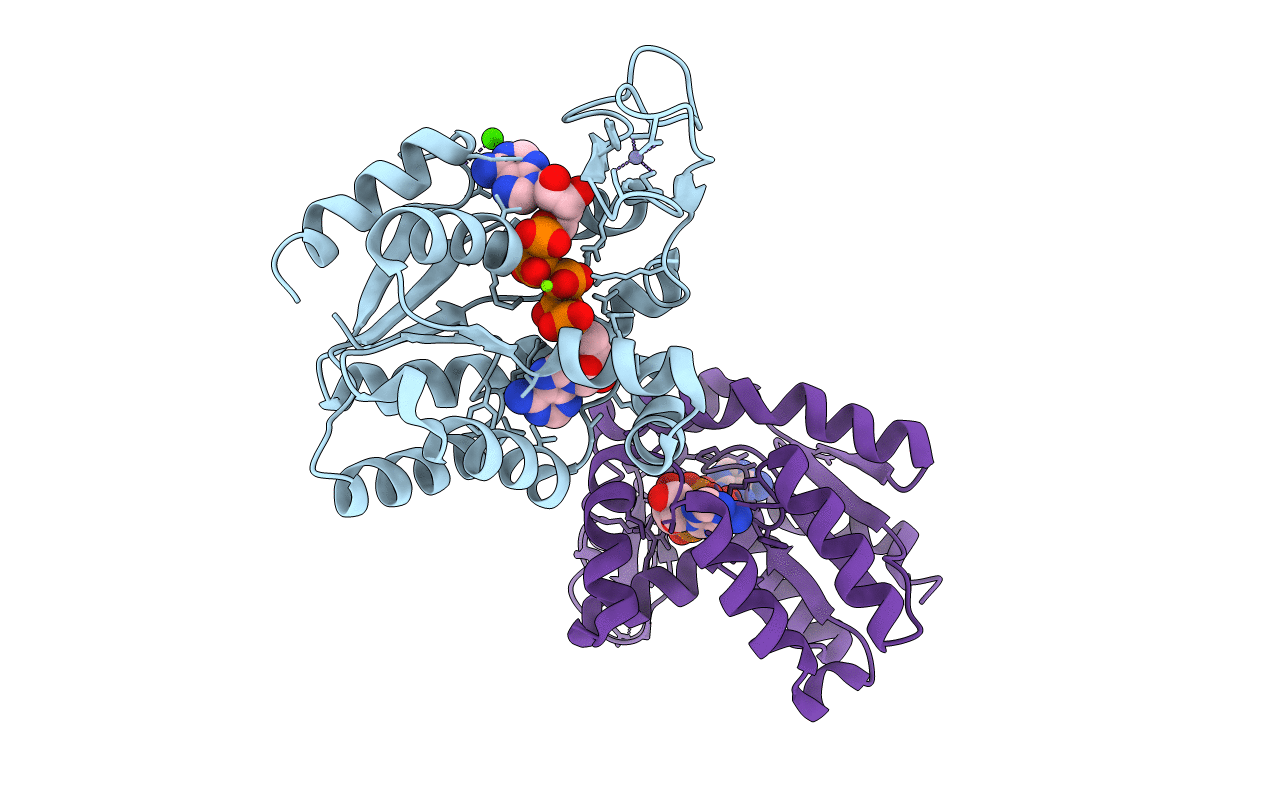 4TYQ image