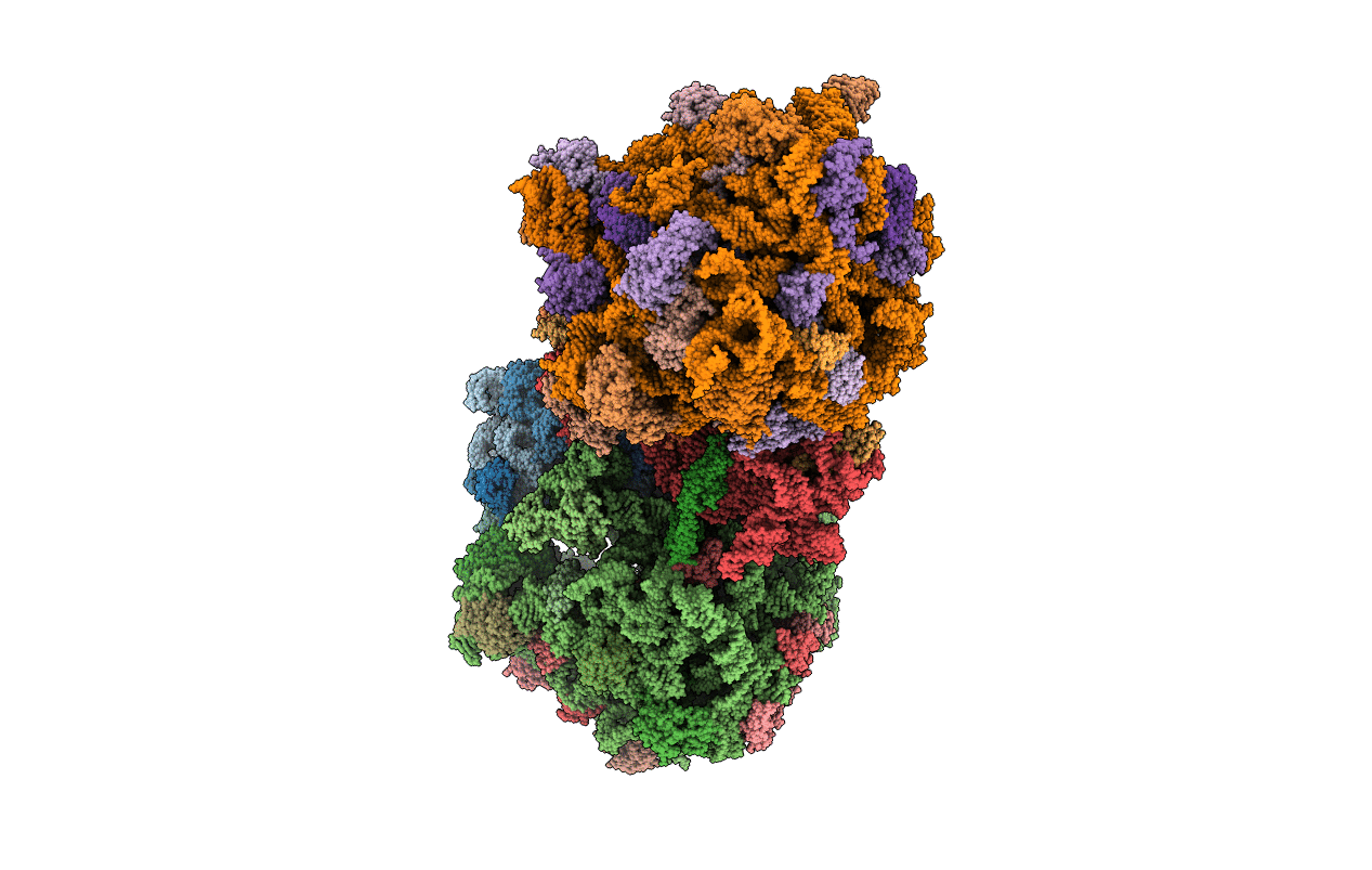 4U1V image