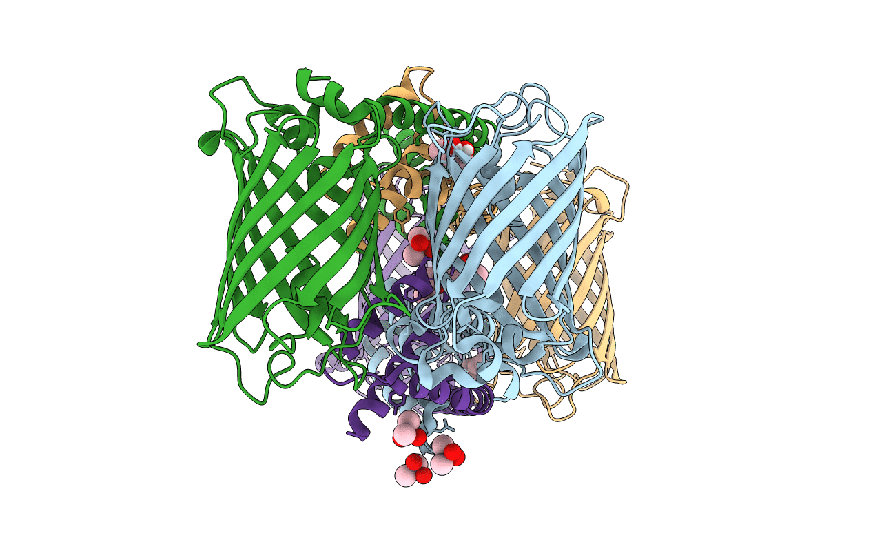 4U2V image