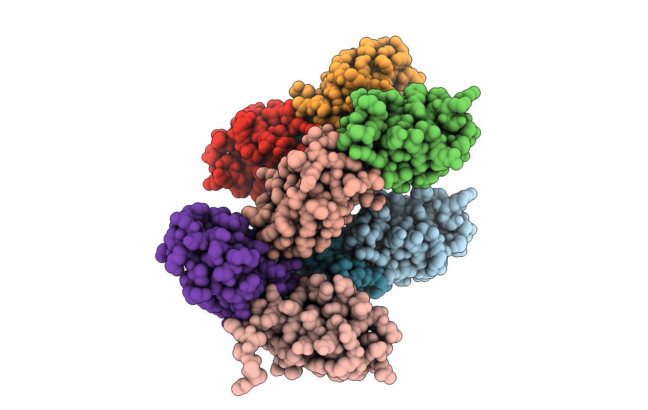 4U5H image