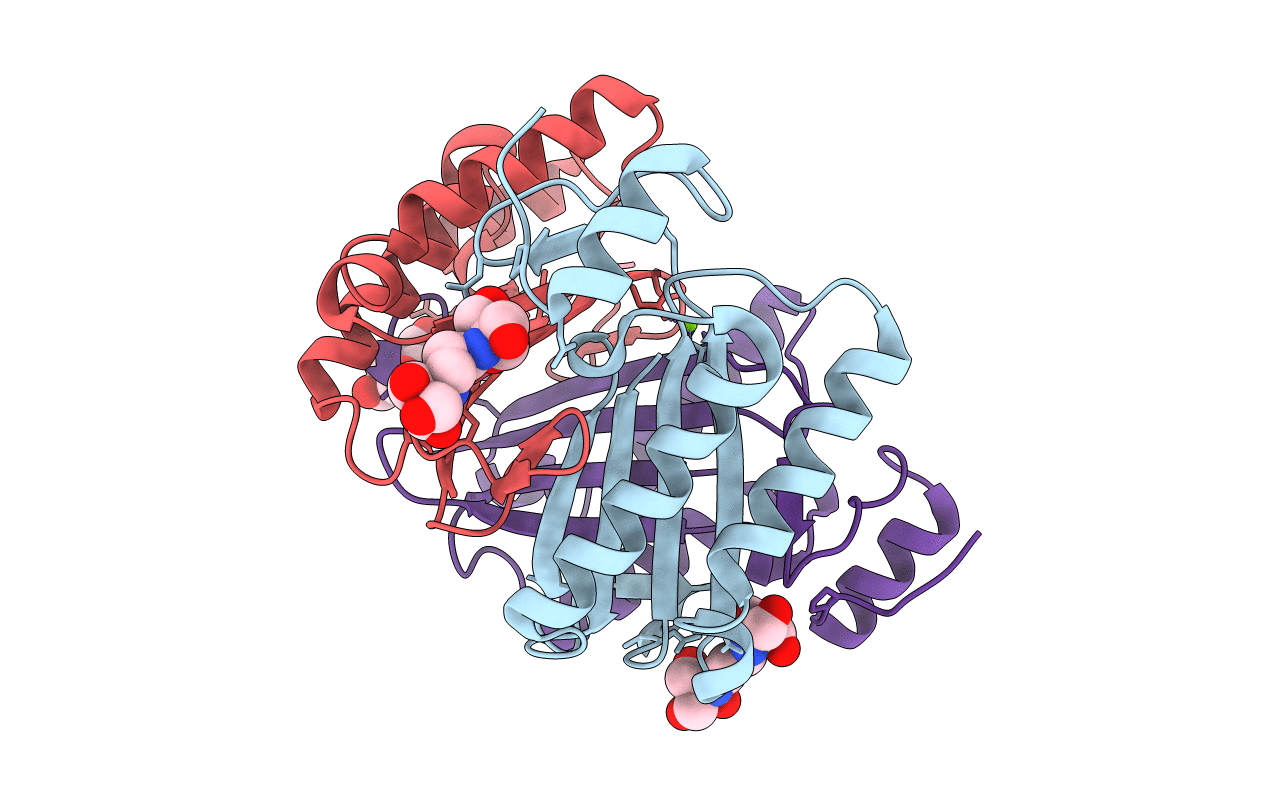 4U5P image