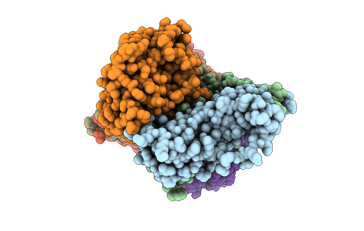 4U65 image