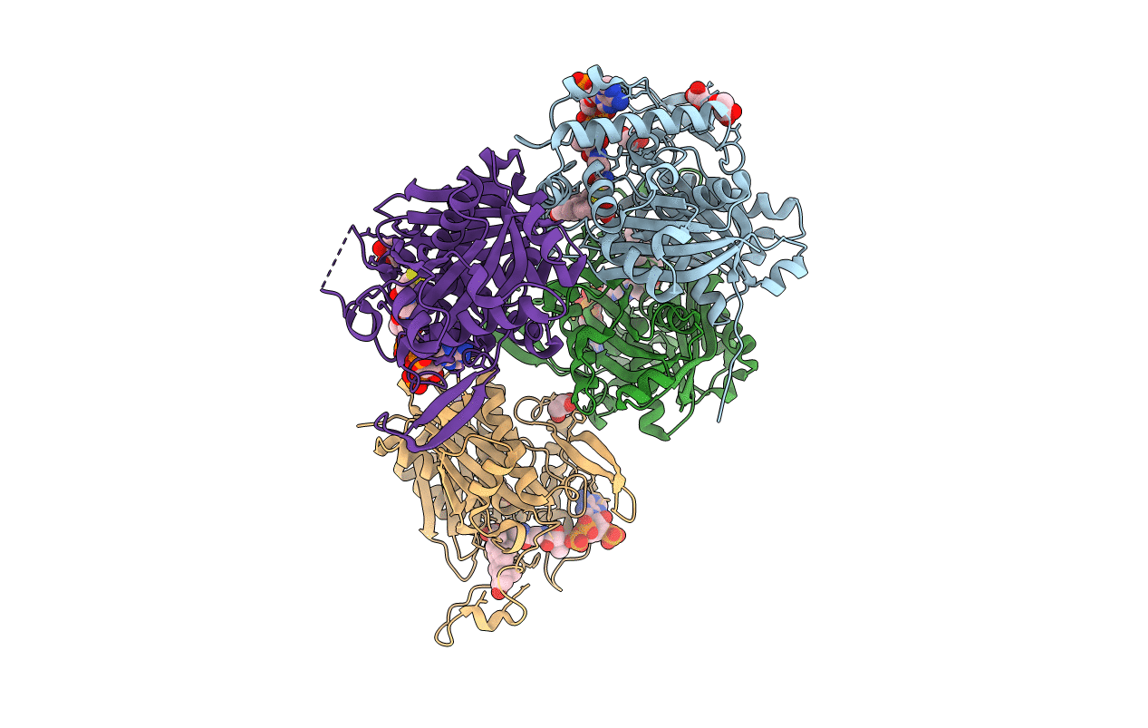 4UBT image