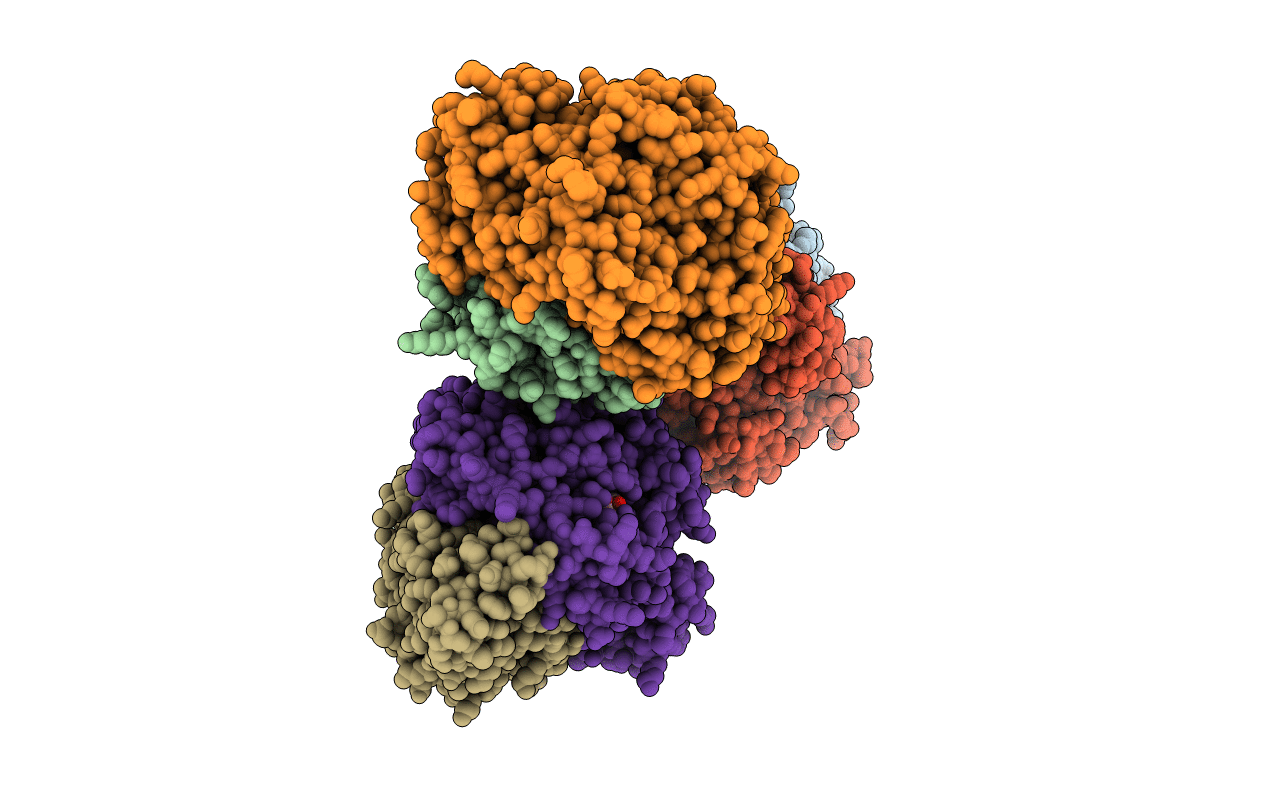 4UCW image