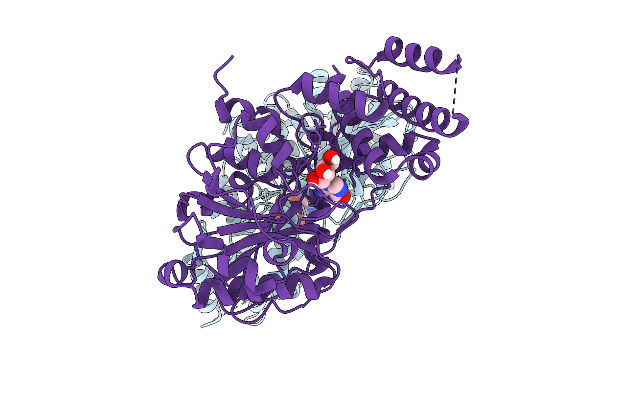 4UCZ image