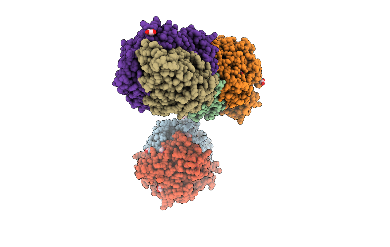 4UD2 image