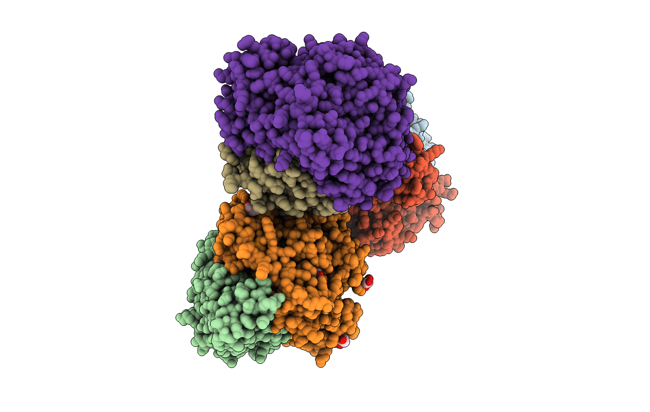 4UD6 image