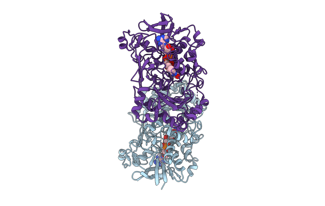 4UDP image