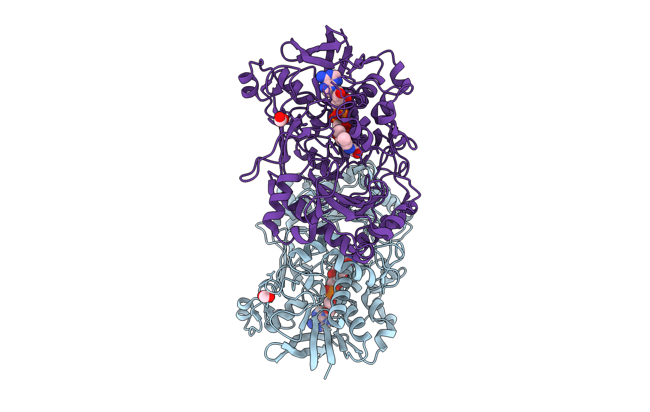 4UDQ image