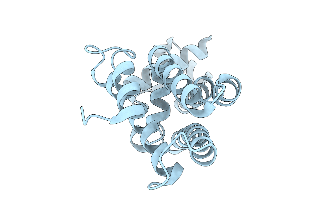 4UDS image