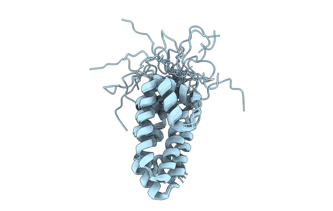 4UET image