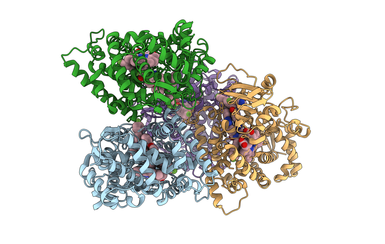 4UHI image
