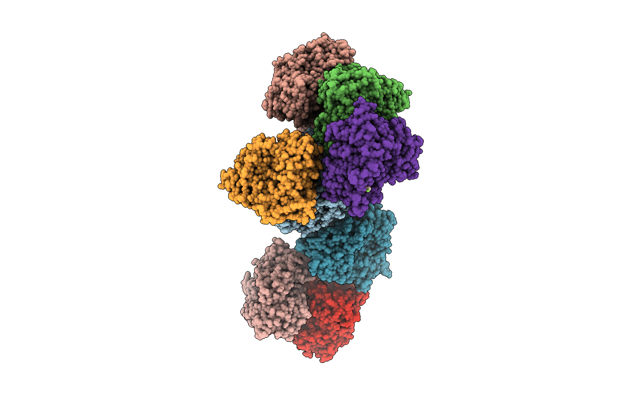4UHL image