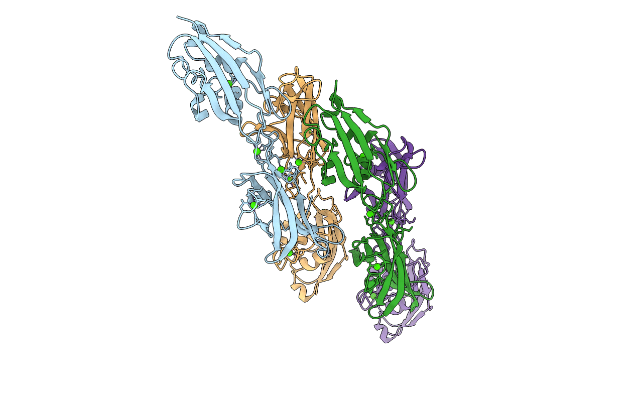 4UJ8 image
