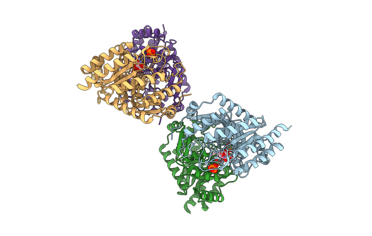 4UMB image