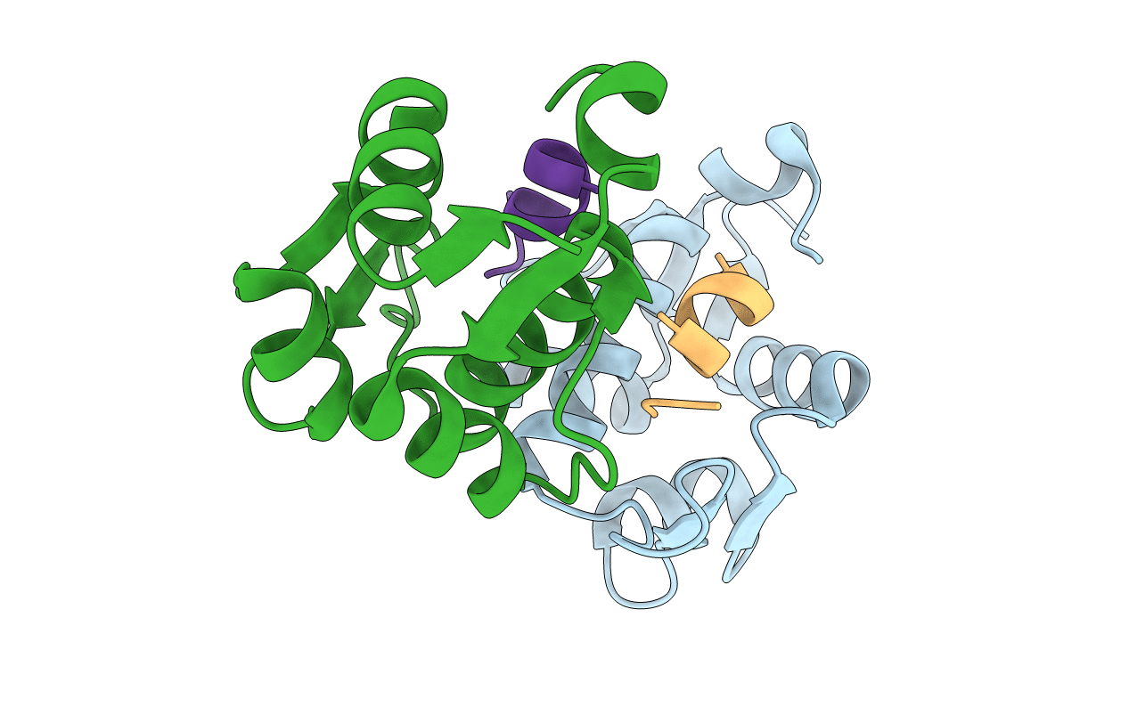 4UMN image