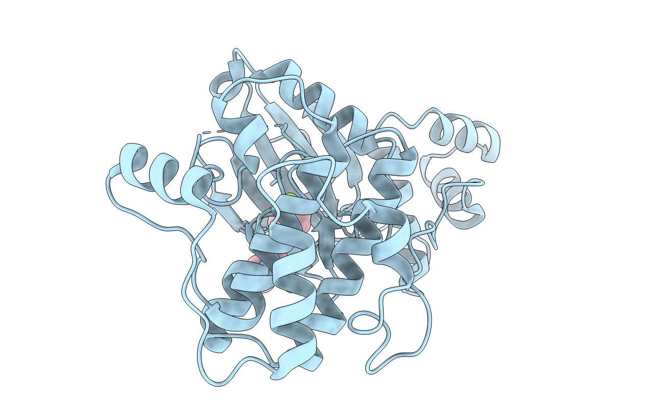 4UMR image