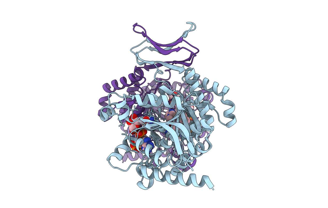 4UMX image