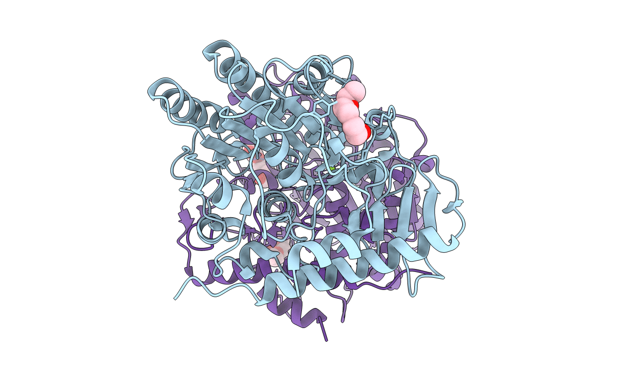 4UOP image