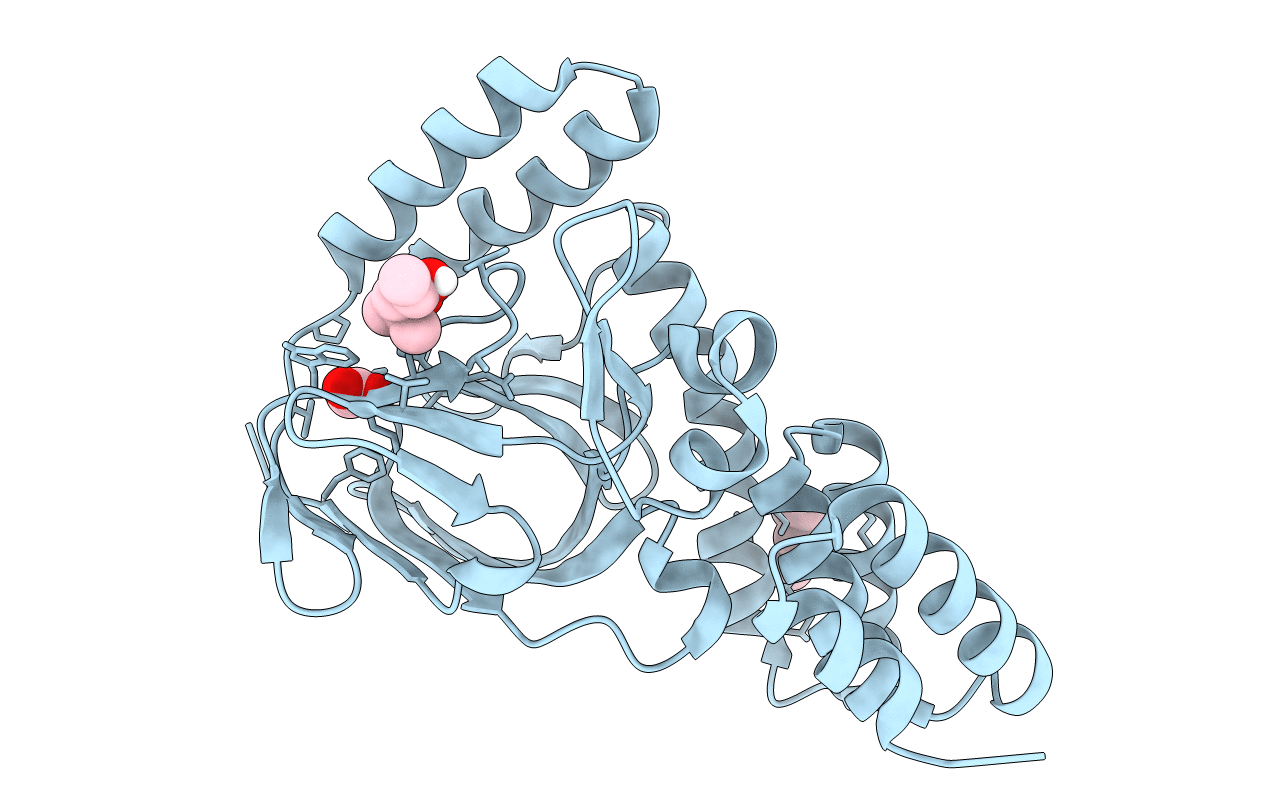 4UQX image