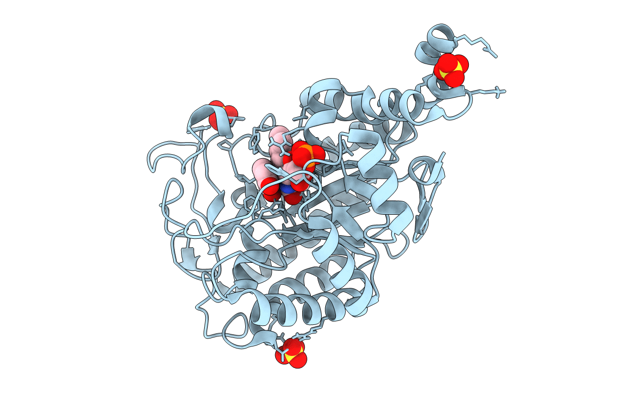 4UTJ image