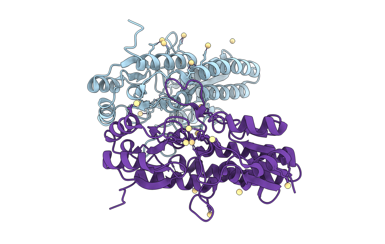 4UTP image