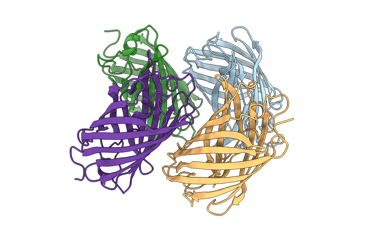 4UTS image