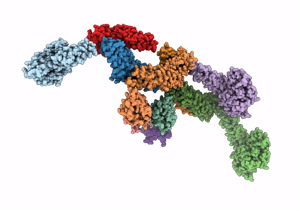 4UUD image