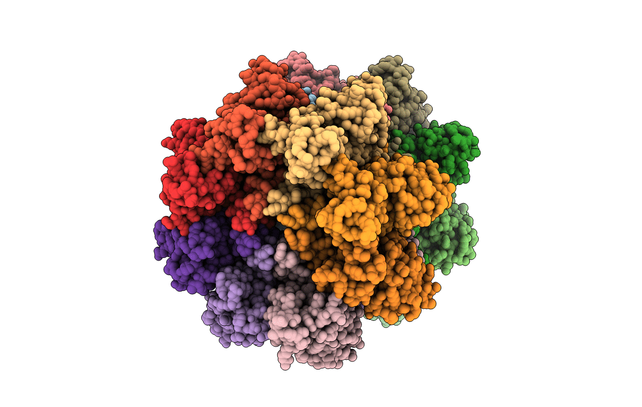 4UV2 image