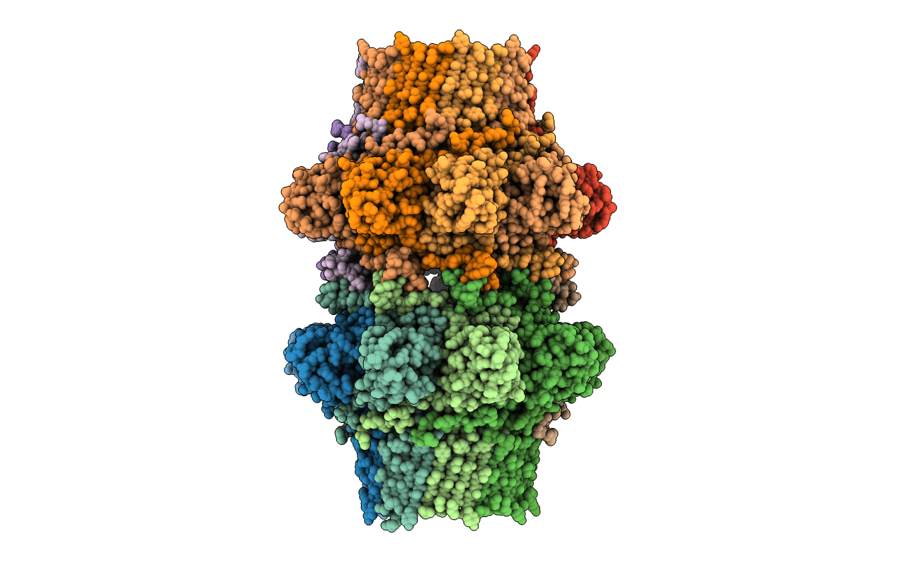 4UV3 image
