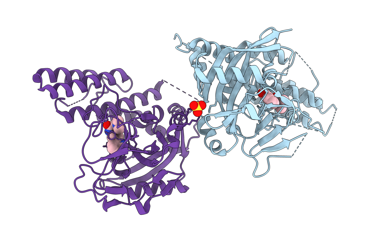 4UXB image