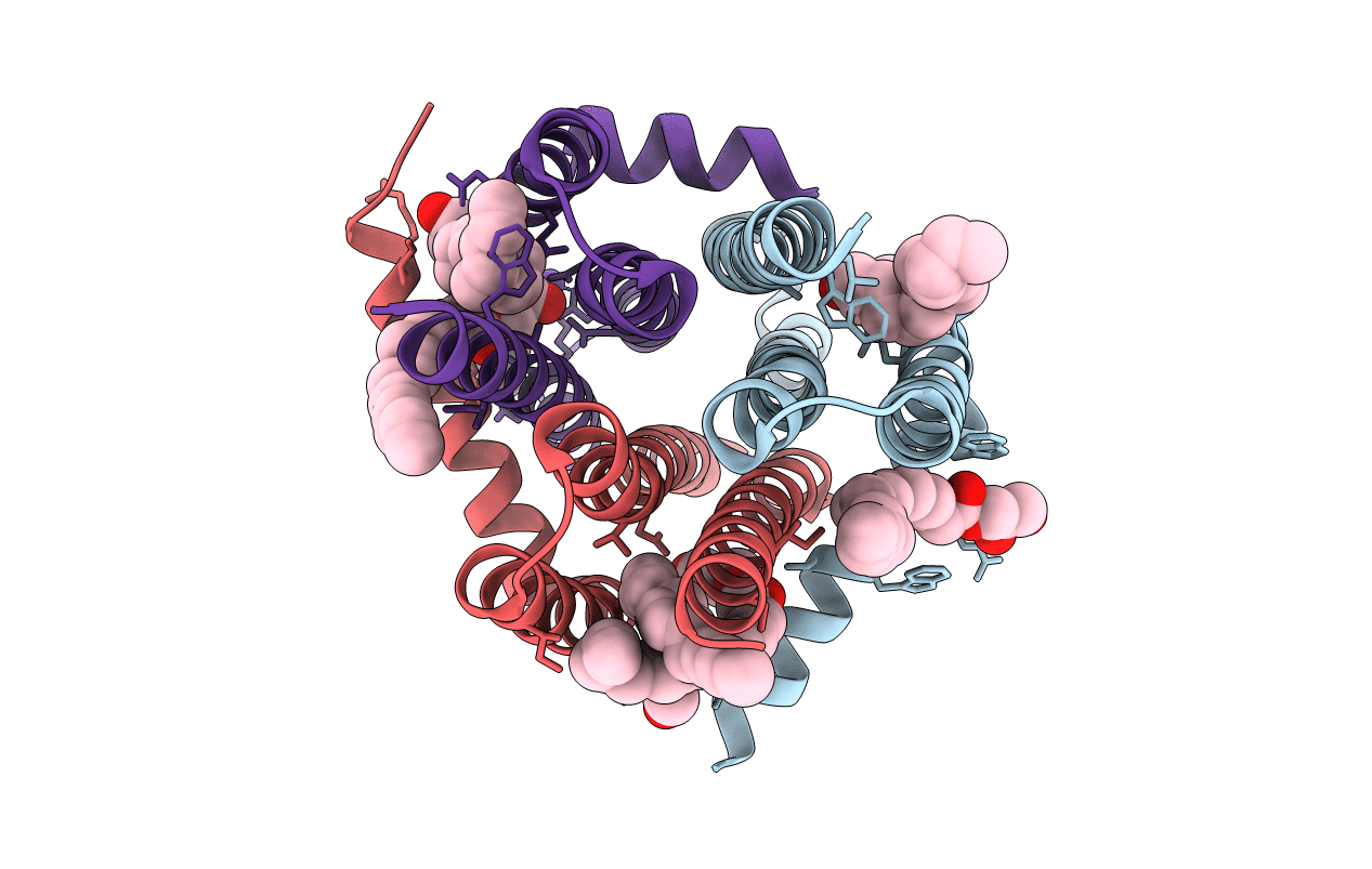 4UXW image