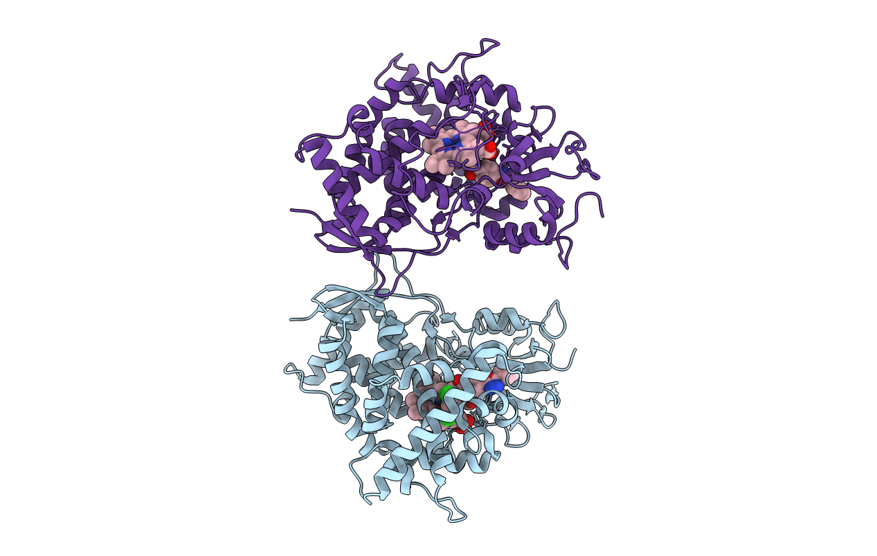 4UYL image