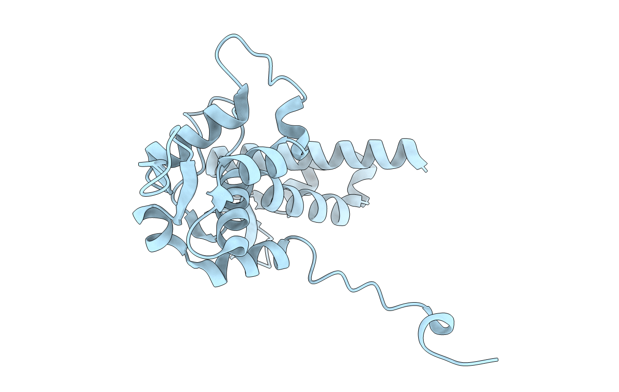 4V0P image