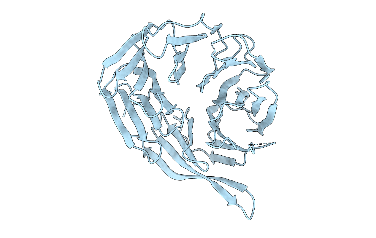 4V16 image