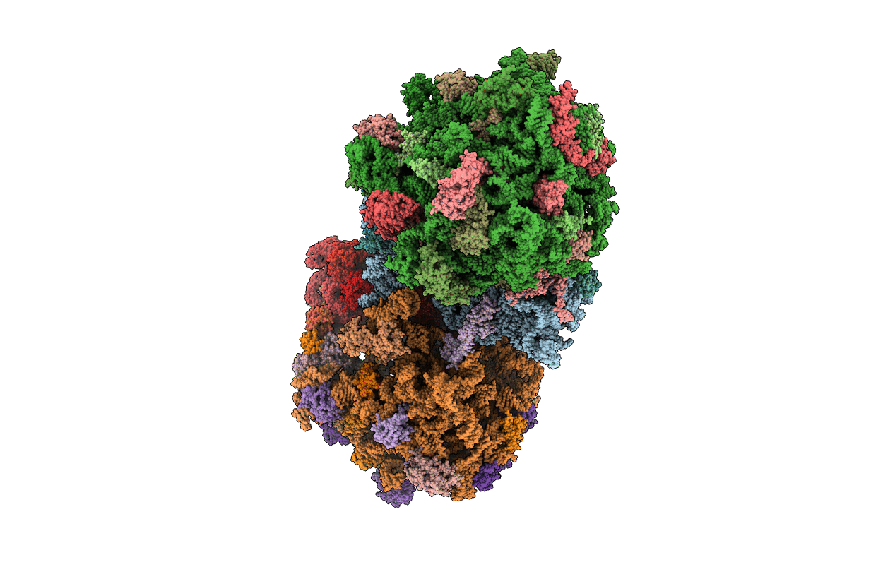 4V8J image