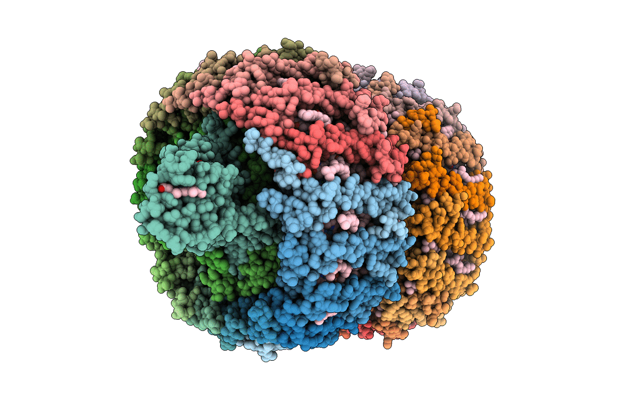 4V8K image