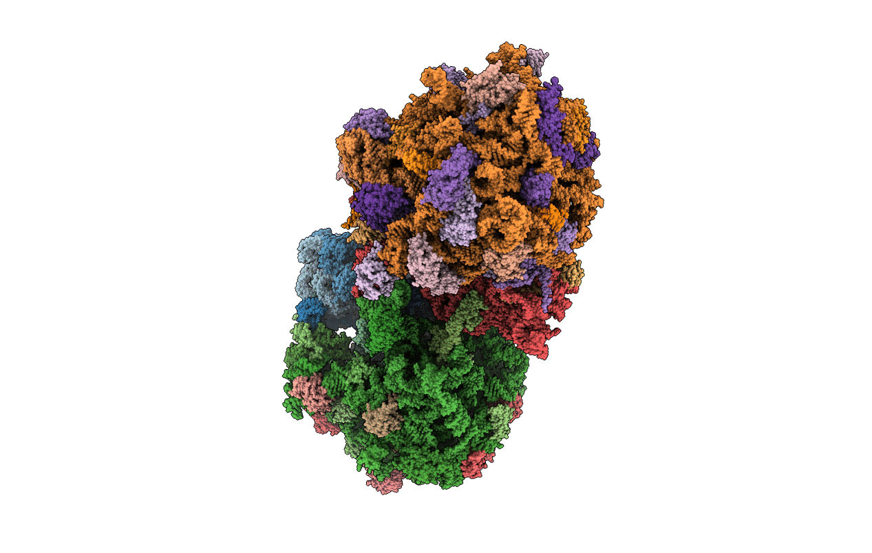 4V8N image