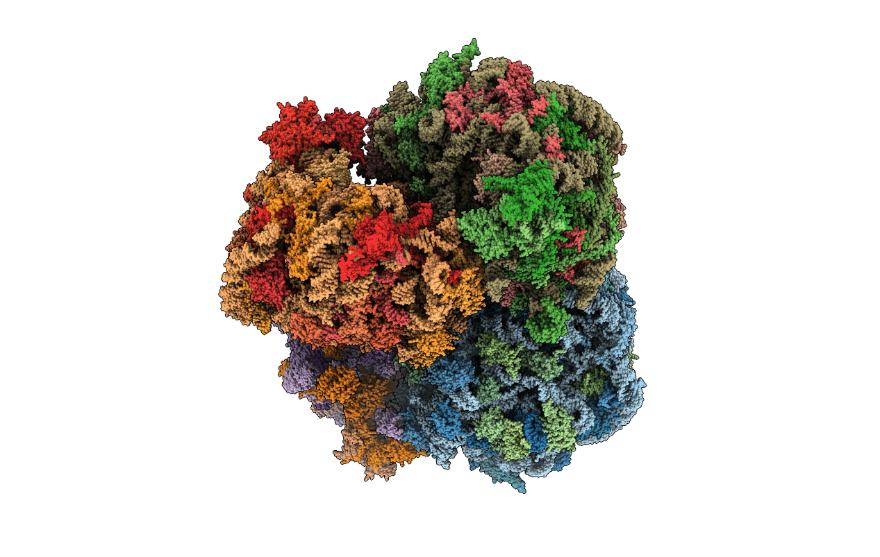 4V8P image