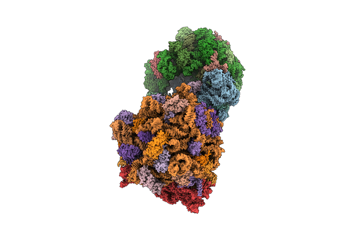 4V9B image