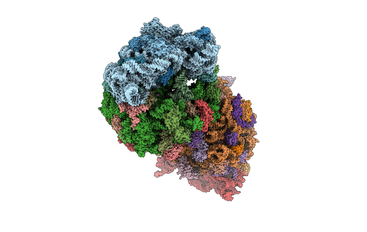 4W2I image